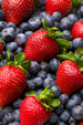 antioxidants