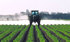 pesticides